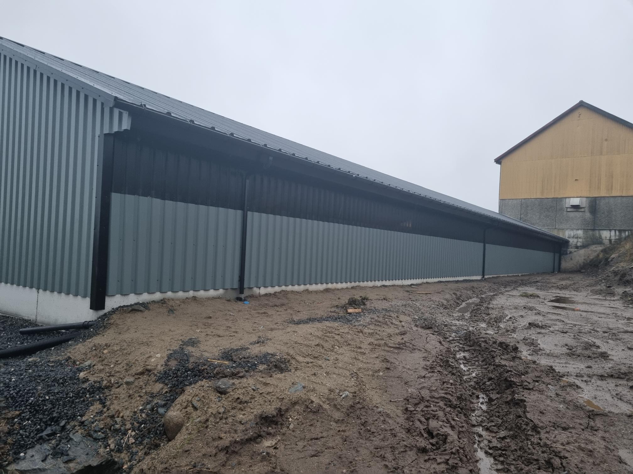Ammekufjøs - Image 5