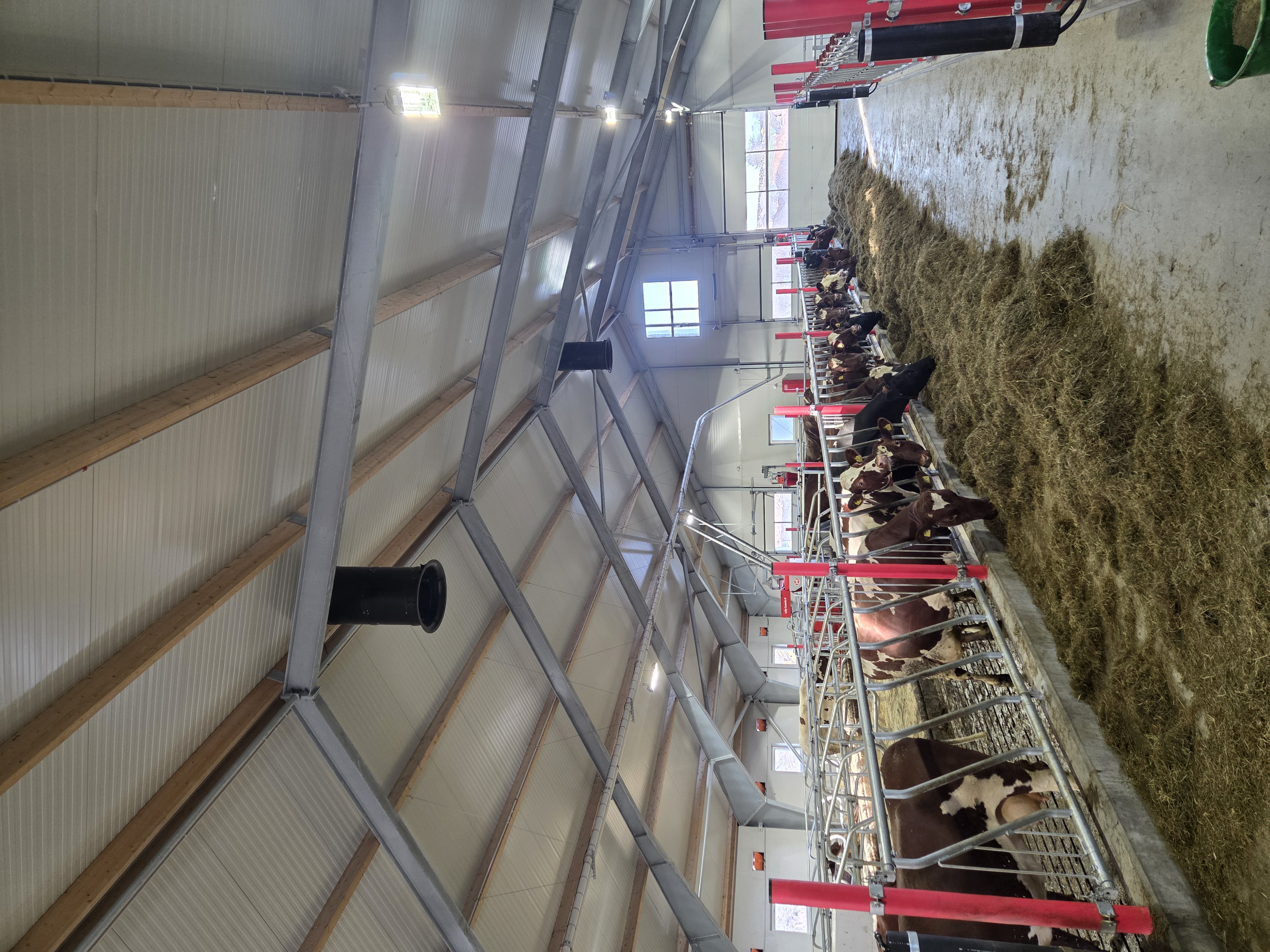 Fjøs på Kåsen - Image 3