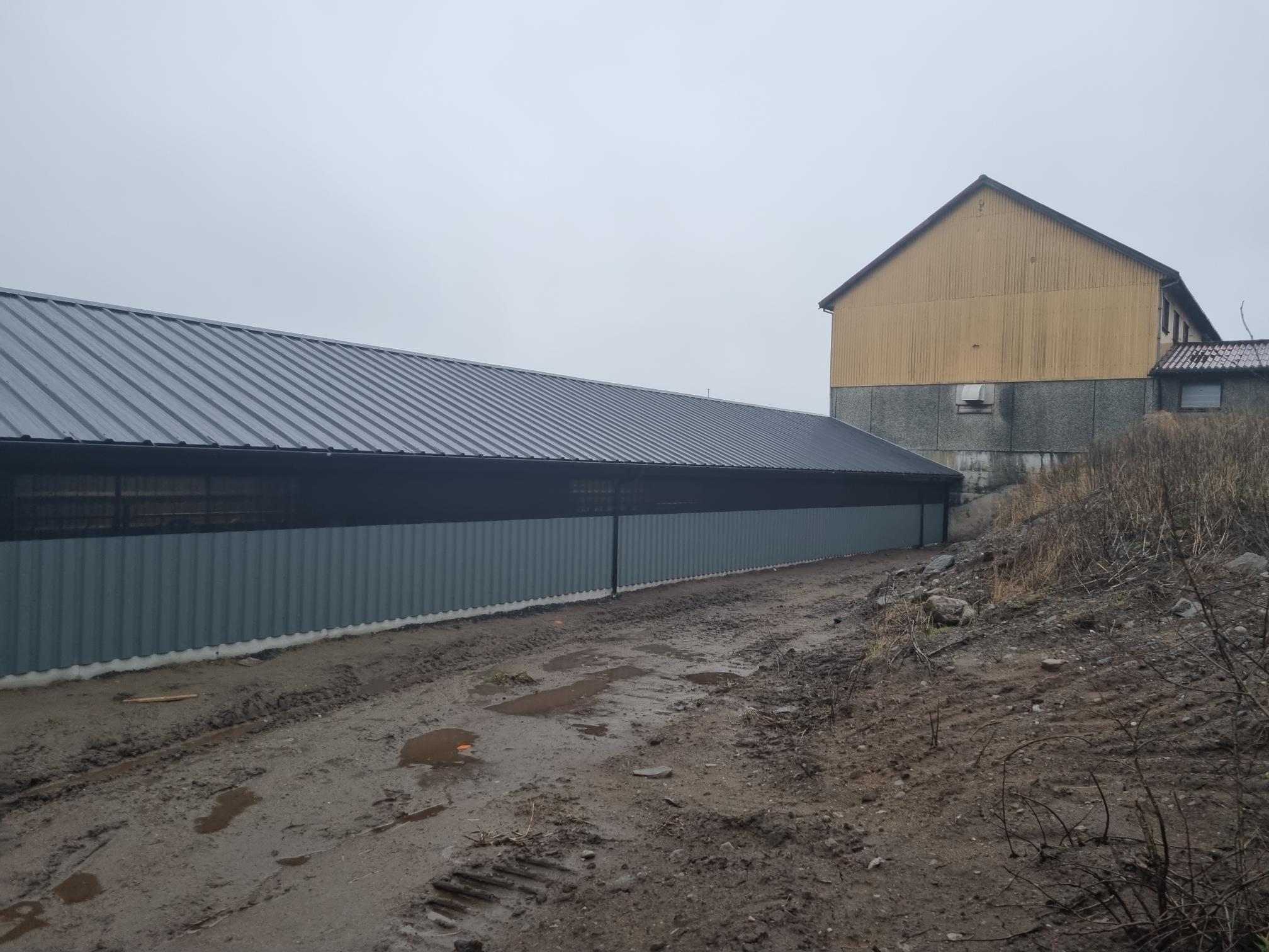 Ammekufjøs - Image 6